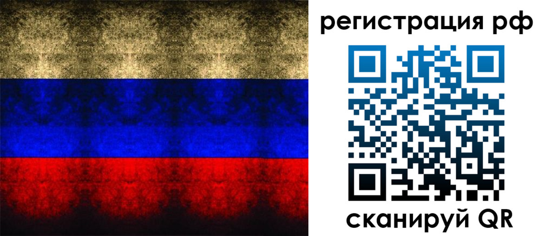 временная регистрация поиск в Кингисеппе
